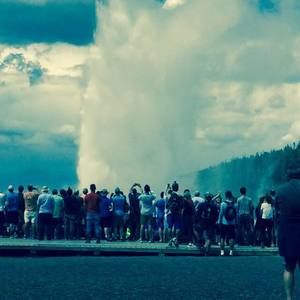 Meet your Posher, Terry